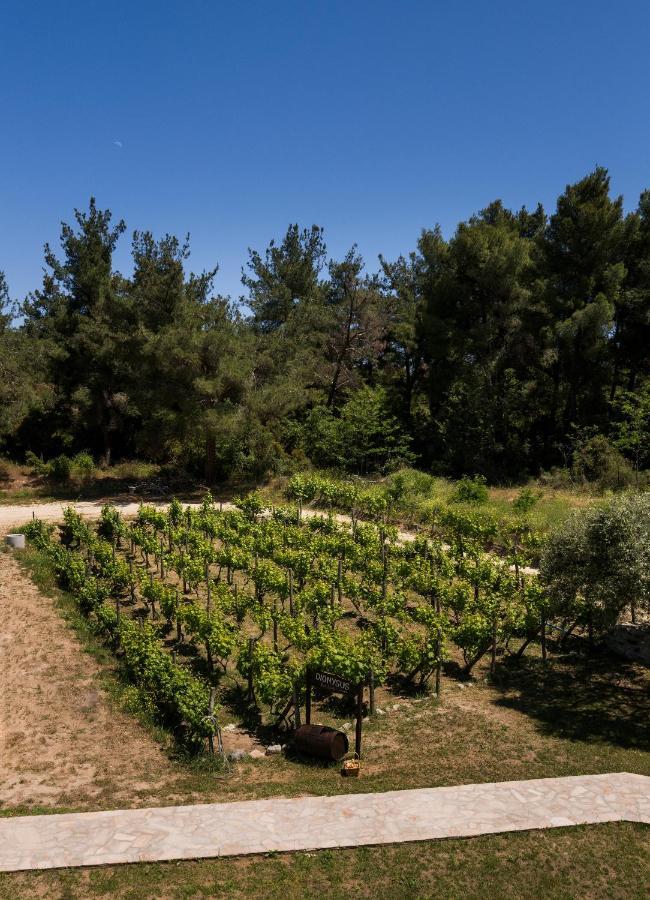 Dionysus Apartments & Suites Ierissos Dış mekan fotoğraf