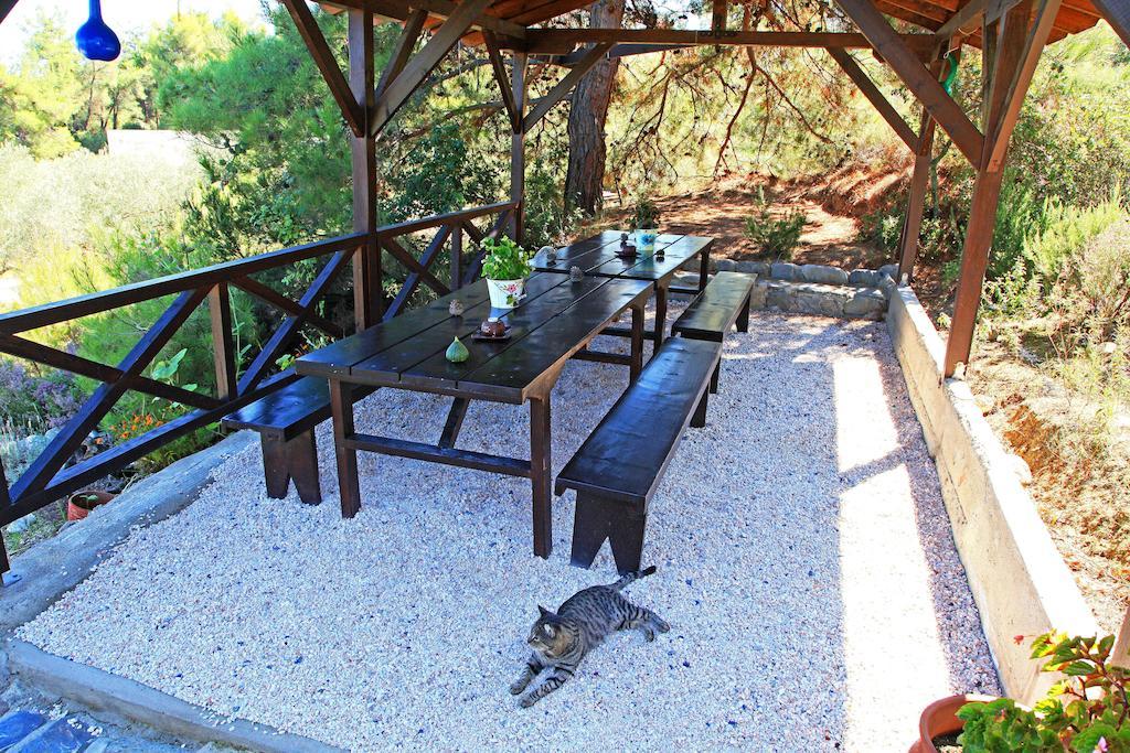 Dionysus Apartments & Suites Ierissos Dış mekan fotoğraf