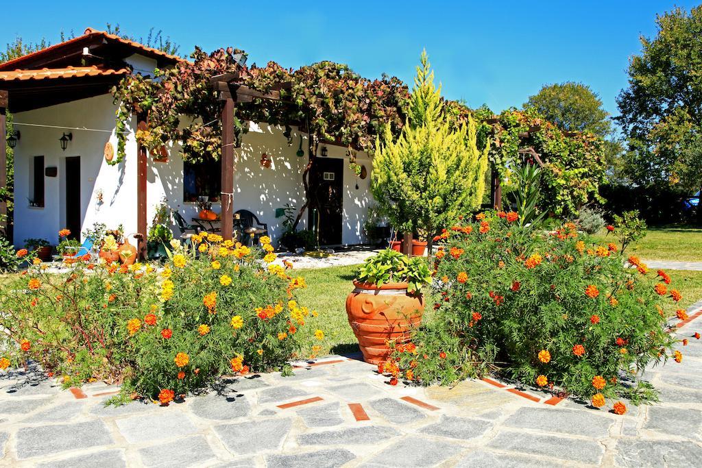 Dionysus Apartments & Suites Ierissos Dış mekan fotoğraf