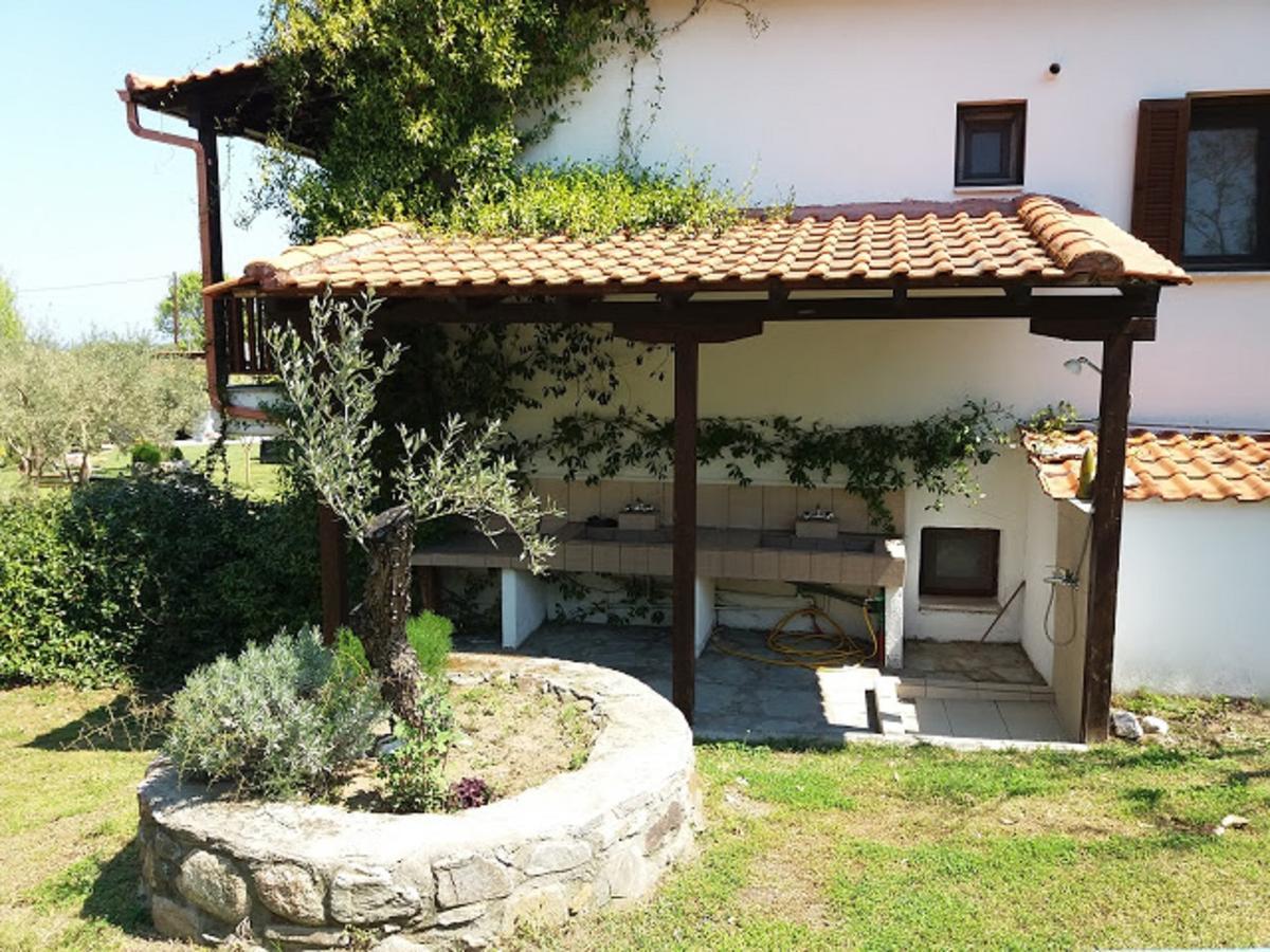 Dionysus Apartments & Suites Ierissos Dış mekan fotoğraf